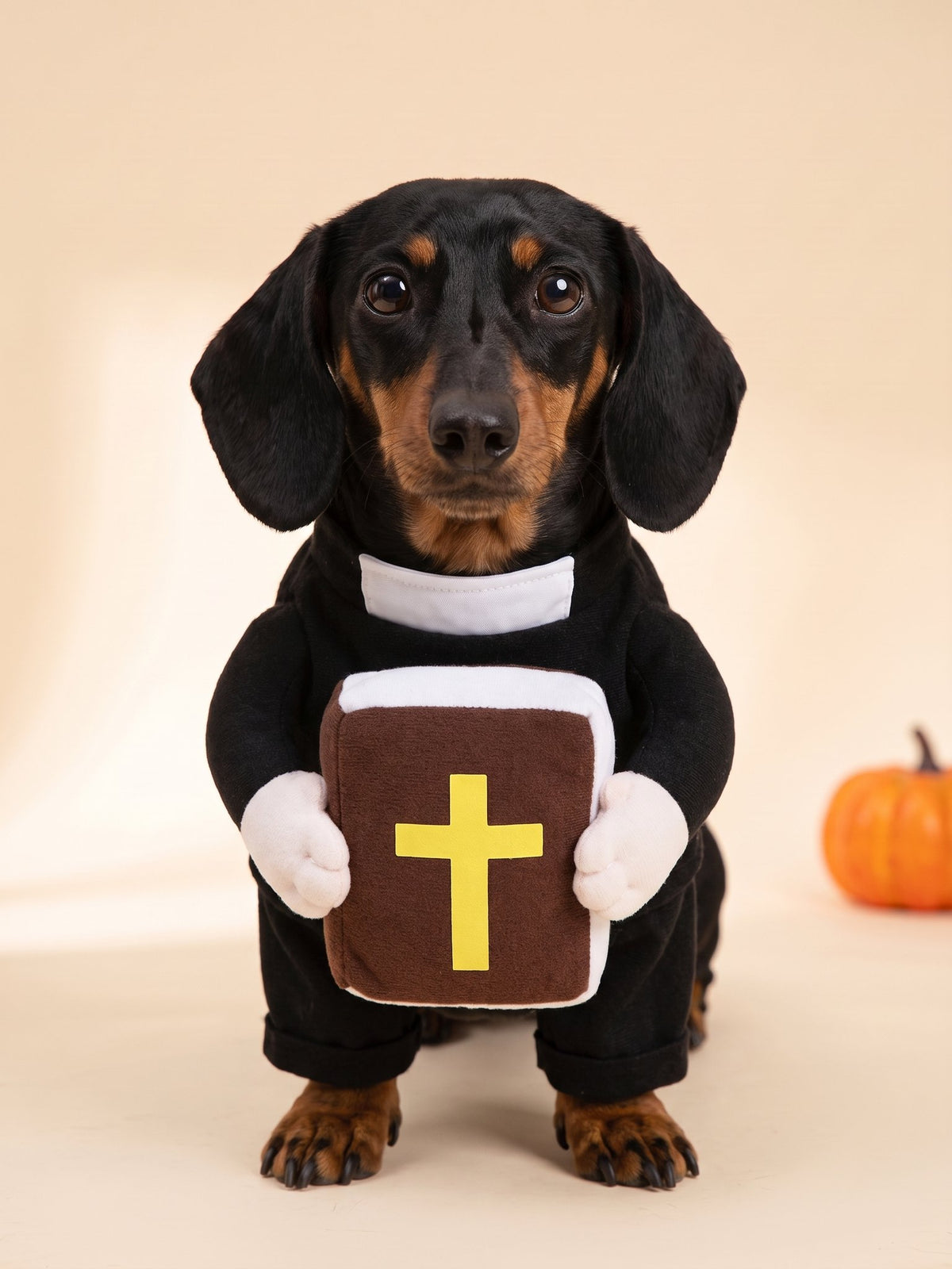 Holy Whiskers priest costume with bible on a dachshund