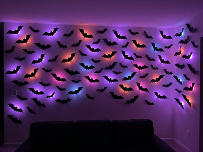 72 bats covering an entire living room wall, floor to ceiling