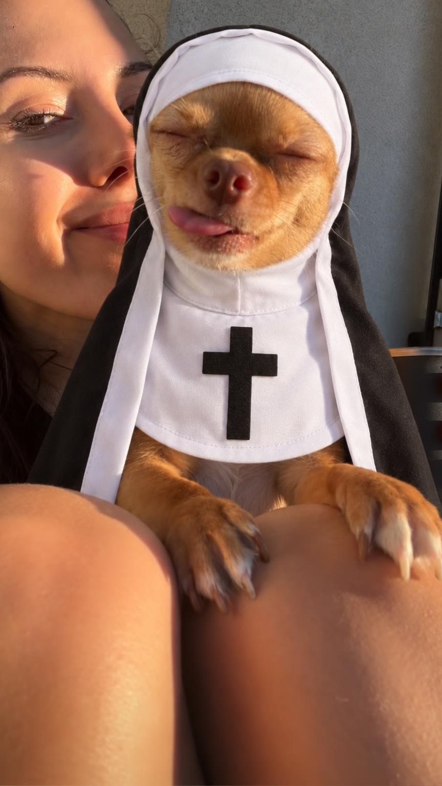 Owner selfie with her chihuahua in the Holy Nun costume