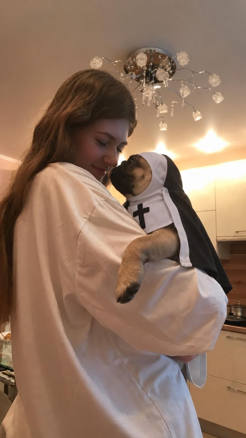 Pug in the Holy Nun costume held in the kitchen
